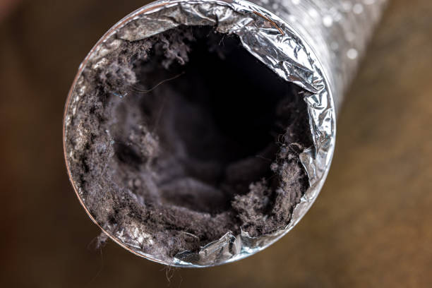 Best Affordable HVAC Duct Cleaning  in Beardstown, IL